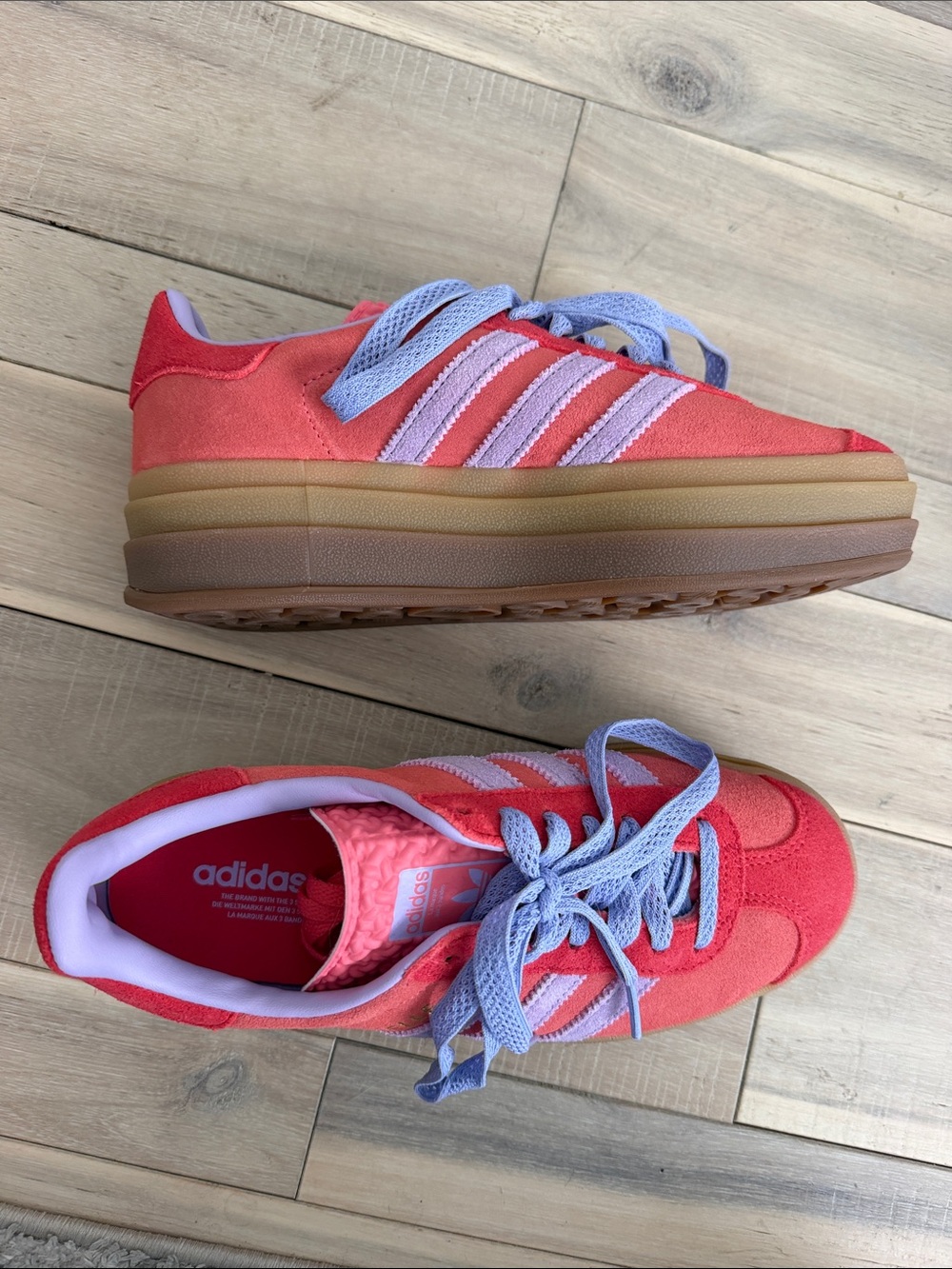 GAZELLE BOLD SHOES